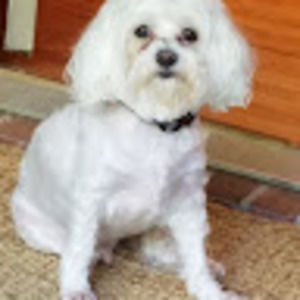 Meet your Posher, Gail